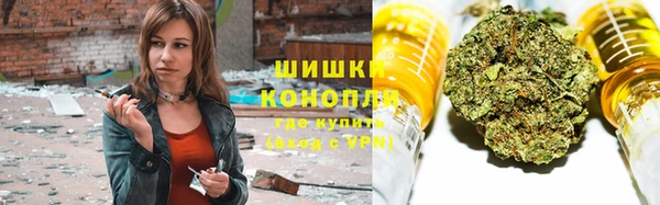 прущие крисы Горняк