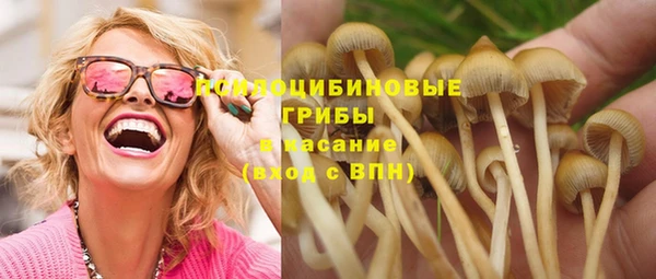 2c-b Алзамай