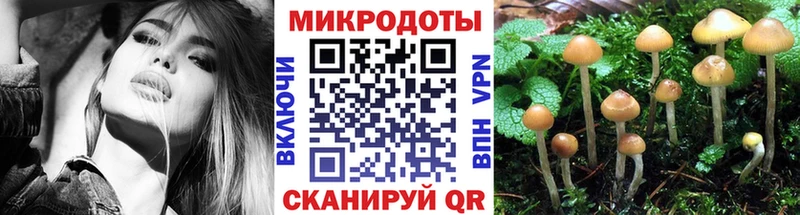 купить наркотики цена  Майский  Галлюциногенные грибы GOLDEN TEACHER 