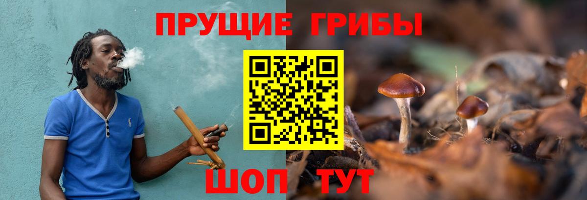 Галлюциногенные грибы MAGIC MUSHROOMS Майский